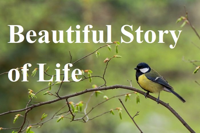 Beautiful Story Of Life In Hindi - आपकी ज़िन्दगी बदल देगी ये कहानी ...